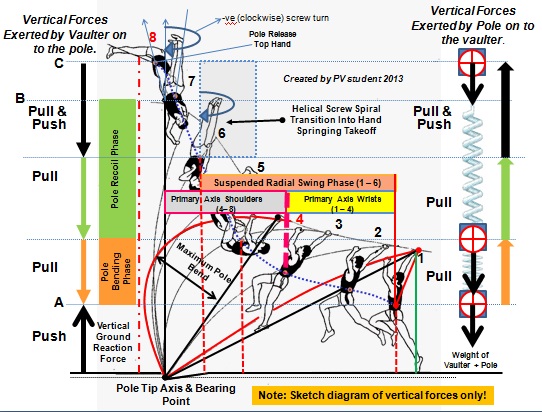 Pole vault model of the vertical forces only acting on pole and vaulter.jpg