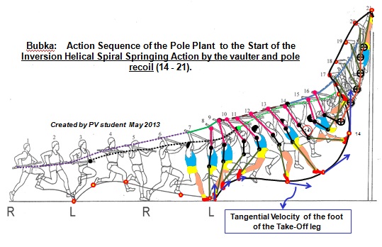 Bubka action sequence role of the swing leg tangential force.jpg