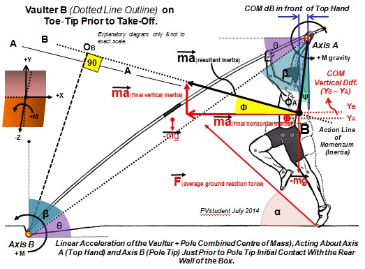 Forces Sketch instant before pole tip rear wall impact and completion of take - off Vaulter B.jpg