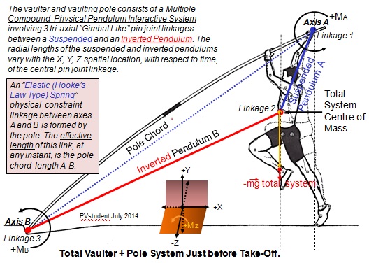 Pole vault suspended and inverted pendulums as constrained reciprocal physical pendulums by the pole spring linkage.jpg