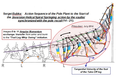 Bubka transfer of momentum in phase 1 of pole support.jpg