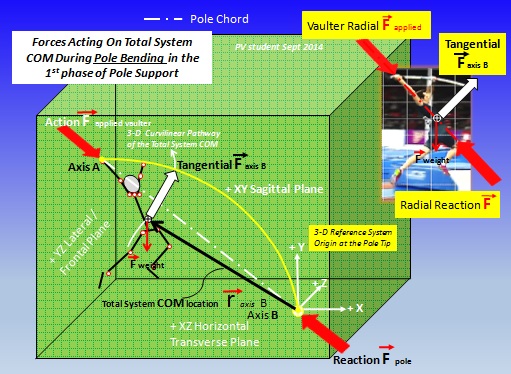 1st phase pole support forces 3D 3.jpg